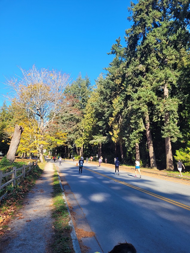# Fall of Vancouver

## Raincouver Rejuvenation: Marathon under the Sun
Vancouver is not always sunny. From October to March, it is the rainy period, which is fairly long term. People here call it ‘raincouver’. It may make some people gloomy sometimes. I think humans are affected by the weather and the ambient lighting a lot. However, facing the sunlight after 4 days of rain is very refreshing. That’s when we go out for a marathon. UBC Great Trek marathon held on Oct 28th with the brightest sunshine with a whole school of healthy people ([Great Trek](https://www.greattrek.ca/)). The price for the 5-people relay marathon was $25 which included baton, team name card, decorations, water, and even sushi. I liked the event. It was like a festival.
