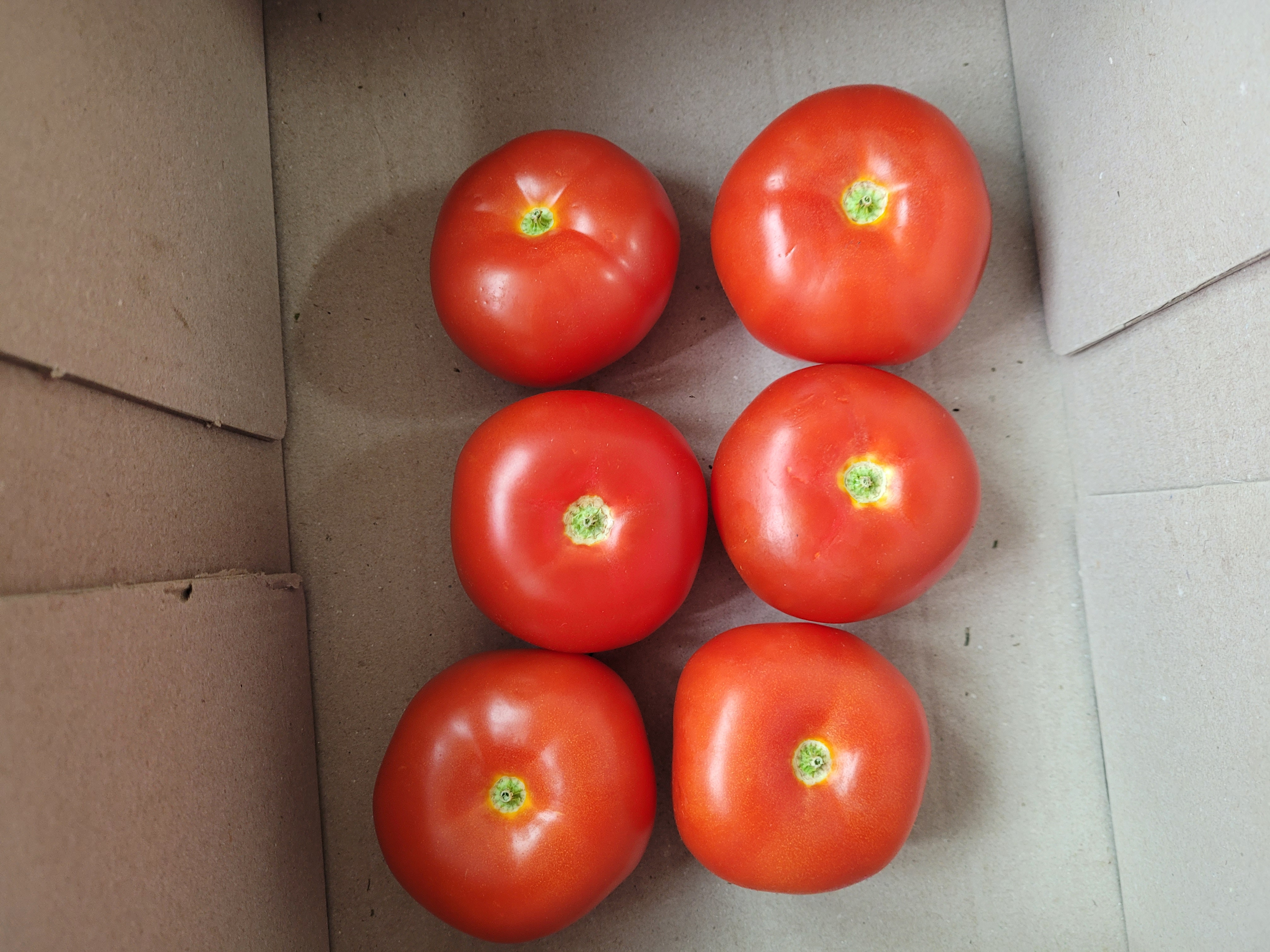 쿠팡에 들어갔는데 토마토가 너무 싸게 팔리고 있었다. 5kg에 8천원 수준이라서 정말 깜놀한 것이, 집 앞에 작은 슈퍼 가서 사면 토마토 4개에 6천원 정도이기 때문이다. 아니 차이가 너무 크잖아!! 쿠팡의 매력에 빠져서 1시간 넘게 고기 재료도 찾아보고 야채, 새우 등을 찾아보다가 블랙타이거 새우랑 토마토 5kg을 지르고야 말았다.. 토마토가 진짜 잔뜩 와서 냉장고를 가득 채웠다 ㅎㅎ 그래도 8천원이니까 괜찮아 하며 스스로를 위로했다. 그런데 이걸 어떻게 먹을까.....