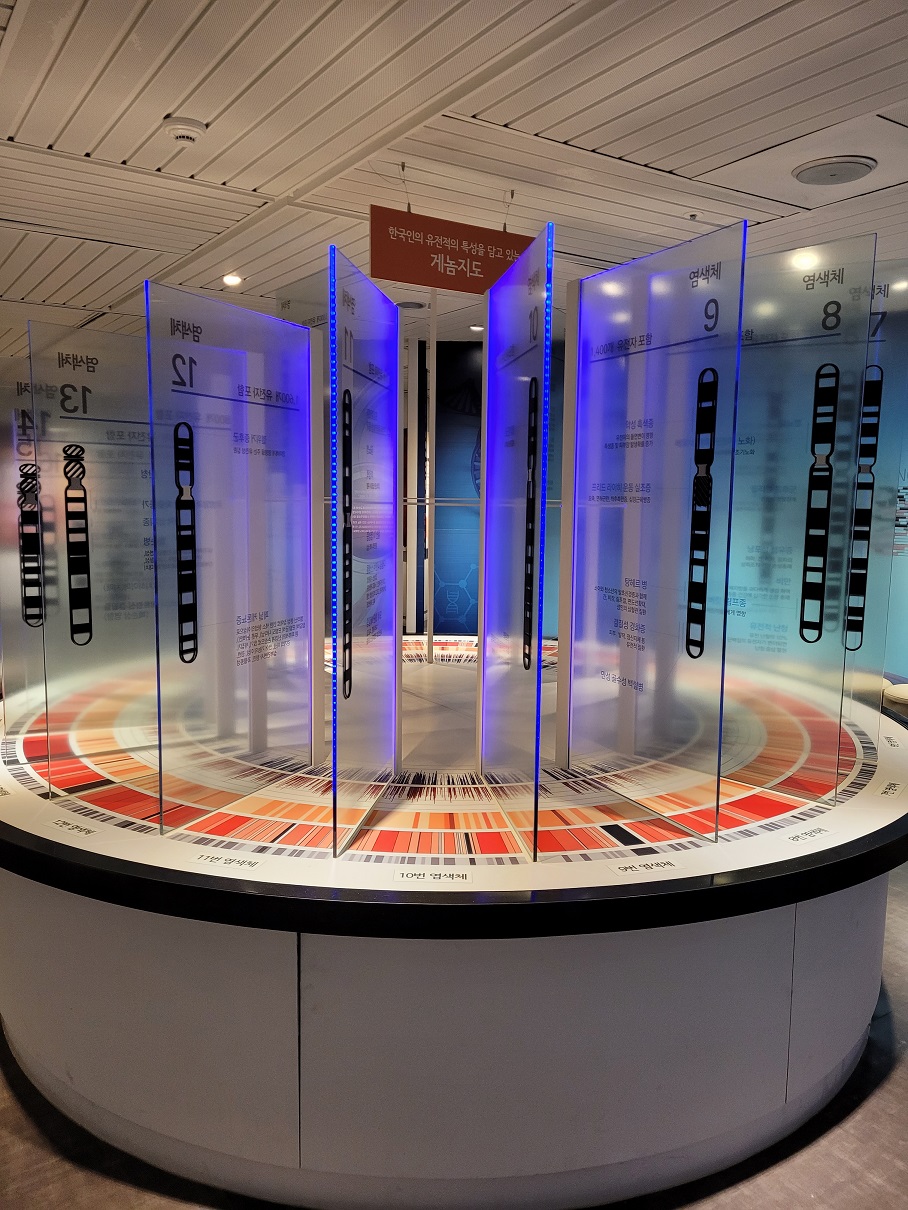 사람의 Chromosome 마다 갖고 있는 대표적인 유전자들도 소개되었다. 이렇게 모형으로 보니 더 흡수가 잘 되는 느낌이었다. 암과 관련된 유전자들도 보였다. 