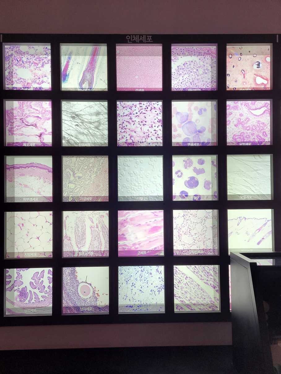 익숙한 병리 이미지도 보였고