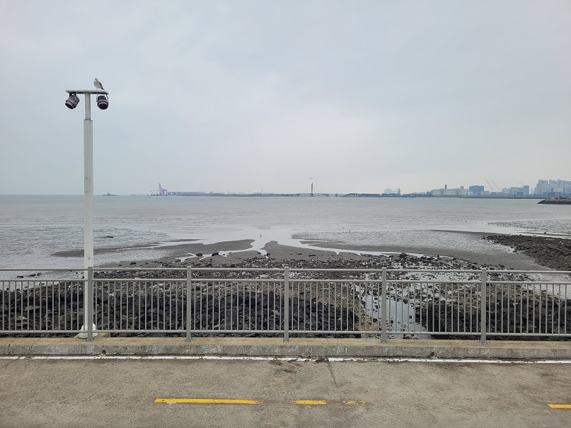 오이도 앞 갯벌. 몇 천 원을 내면 조개잡이 체험도 가능한 듯 하다. 