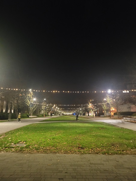 Soon it's Christmas. The bulb decoration makes me sentimental. It's good to view this scene after hard work at the lab. 