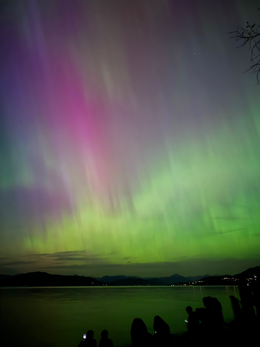 아직 추울 때, 태양 활동이 강해져서 오로라를 볼 수 있다는 소식이 전해졌었다. 그 때가 토요일이었는데, 주말 밤에 내내 볼 수 있다고 했다. 그래서 보러 갈까 했다가 그 주말에 바쁜 일들이 있어서 까먹고 안 보러 가기로 했었다. 토요일 밤에 출출해서 와이프와 함께 UBC 내에 Uncle Faith's 피자 집에 가서 피자를 먹고 수다를 떨다가 집에 가고 있었다. 어떤 사람이 지금 분수대에 가서 핸드폰으로 비춰 보면 오로라를 볼 수 있다고 했다. 그래서 신나서 얼른 가서 해보니 진짜로 보였다! 좀 더 잘 보이는 쪽으로 걸어가니 장미 공원이 나왔다. 이미 사람들이 여럿 나와 있었다. 장미 공원에서 바다 쪽으로 바라보니 육안으로도 오로라를 볼 수 있었다. 주로 초록 빛깔이었고 하늘 위쪽 한 점에서 퍼져 나왔다. 커튼 처럼 일렁이는 것을 자세히 보기는 힘들었다. 더 잘 보기 위해서 tower beach 쪽으로 갔는데 이미 수많은 사람들이 내려가고 있었다. 타워 비치에서는 꽤 잘 보였고 주위도 어두운데 사람들은 많고, 바닷가에 달도 비쳐있고 해서 운치가 있었다. 