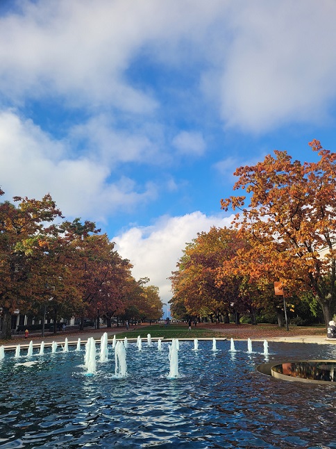 UBC의 가을 풍경은 역시 너무나 아름답다. 1년을 살아보니 역시 날씨가 맑고 야외 활동을 할 수 있는 여름이 제일 마음에 들었다. 그러나 가장 아름다운 시기를 꼽으라면 가을이 빠질 수 없다. 다양한 나무들이 색깔이 바뀌면서 그림을 만드는 것 같다. 나뭇잎들이 떨어져서 길을 수 놓는다. 너무 나뭇잎이 많이 떨어져서 사실 유지하는 데에 많은 노력을 들이는 것 같다. 가을 이맘때만 되면 장비를 들고 나와서 떨어진 잎들을 치우는 것을 흔히 볼 수 있다. 이는 곳 단풍 나뭇잎 언덕을 군데군데 만들게 되는데, 아이들이나 학생들은 이 둔턱에 누워서 책을 읽거나 심지어 자전거 묘기를 하는 언덕으로 사용하기도 한다. 문화 충격이라 좀 신기했다. 
